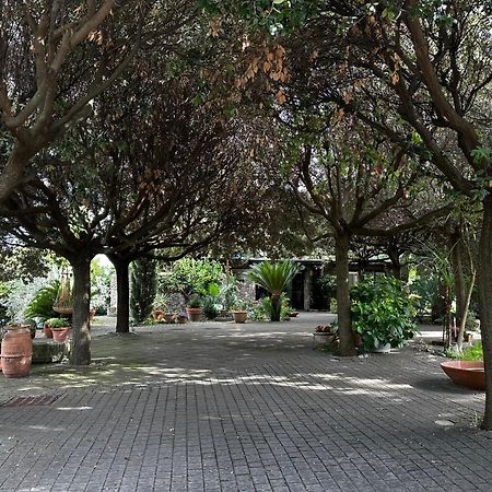 Ferienwohnung Borgo De' Paolis Grottaferrata Exterior foto