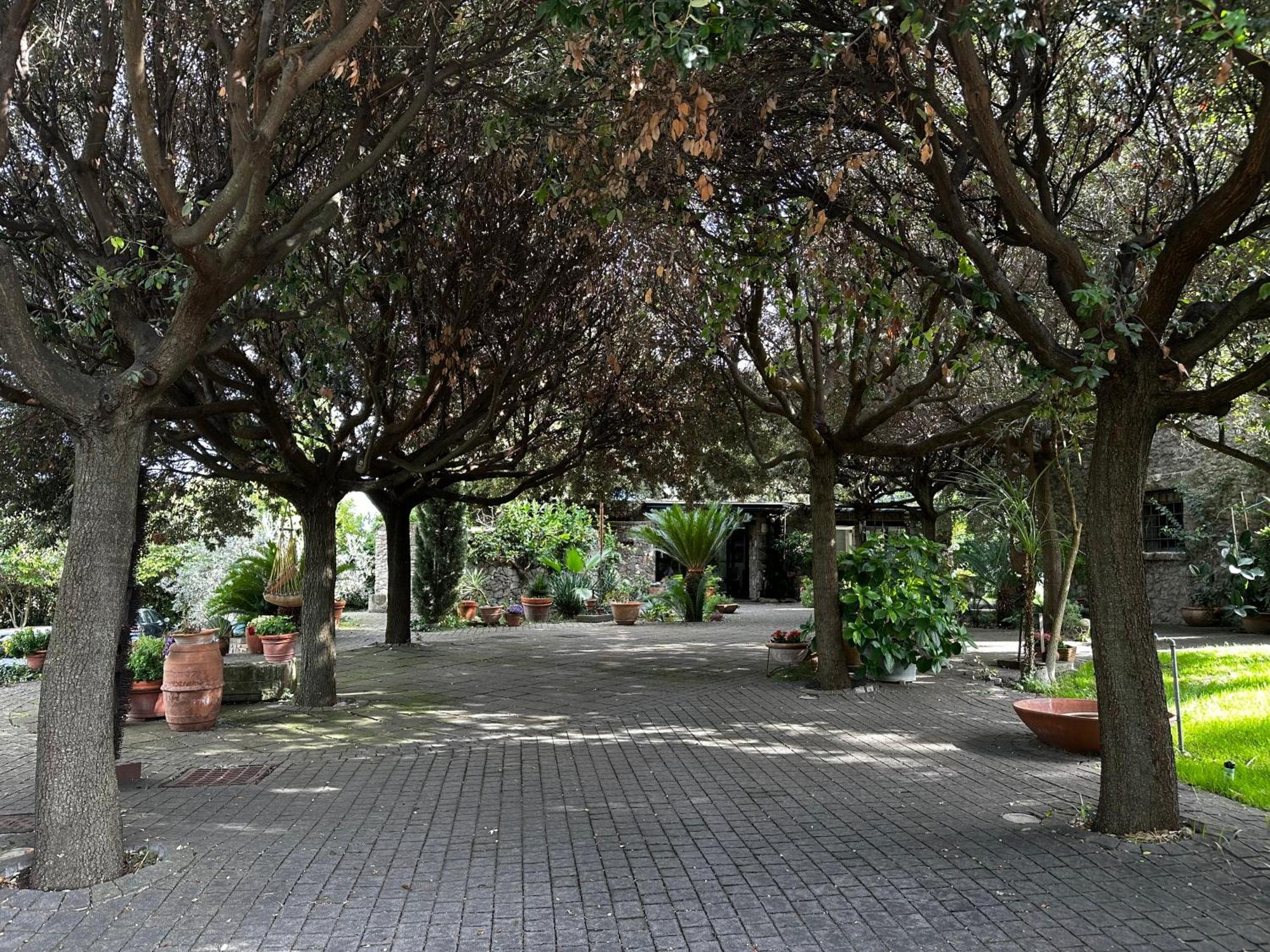 Ferienwohnung Borgo De' Paolis Grottaferrata Exterior foto