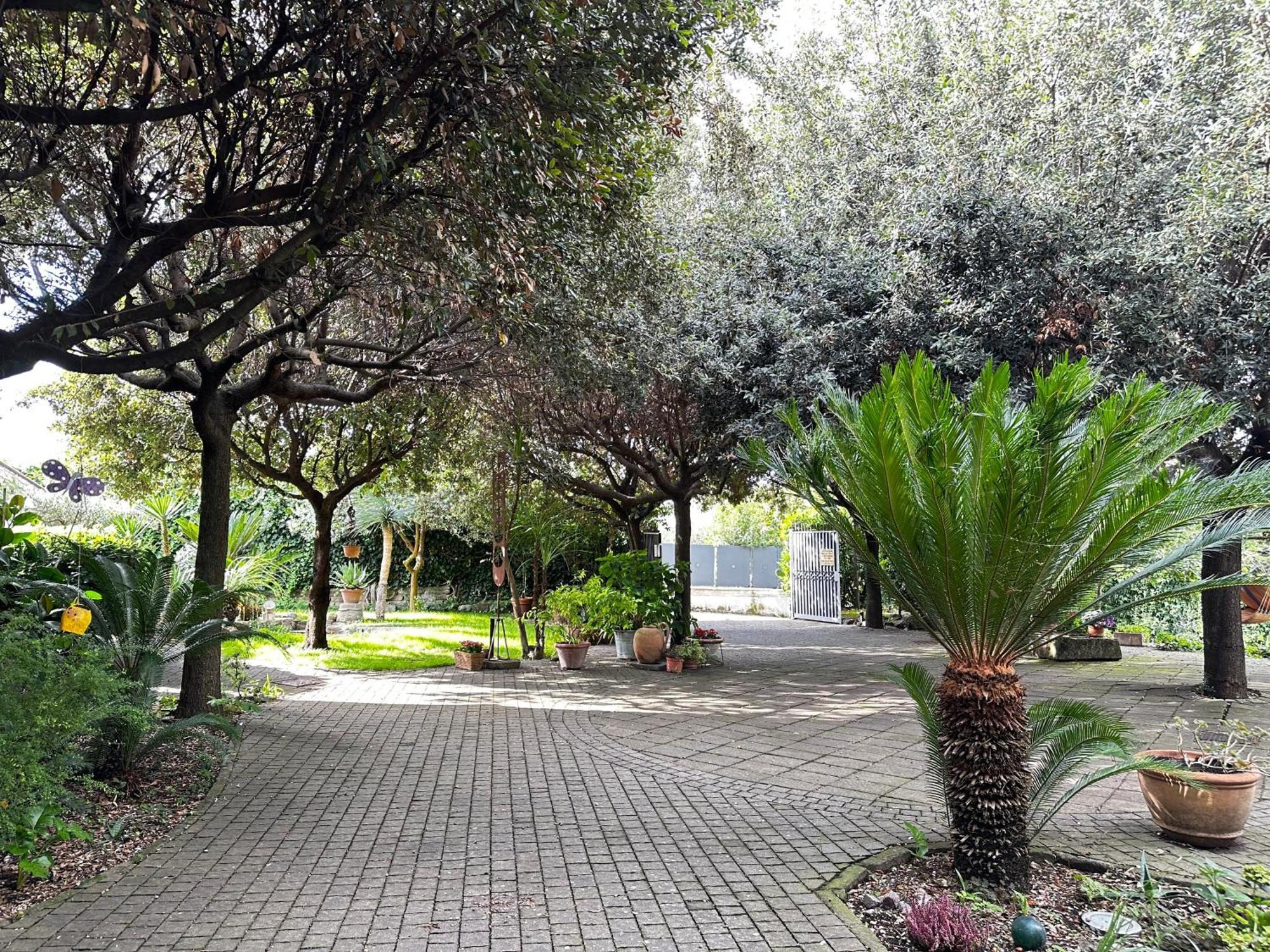 Ferienwohnung Borgo De' Paolis Grottaferrata Exterior foto